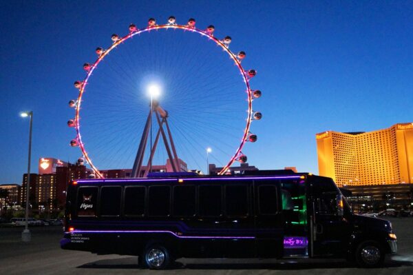 Purple Rain Party Bus Photo Tour