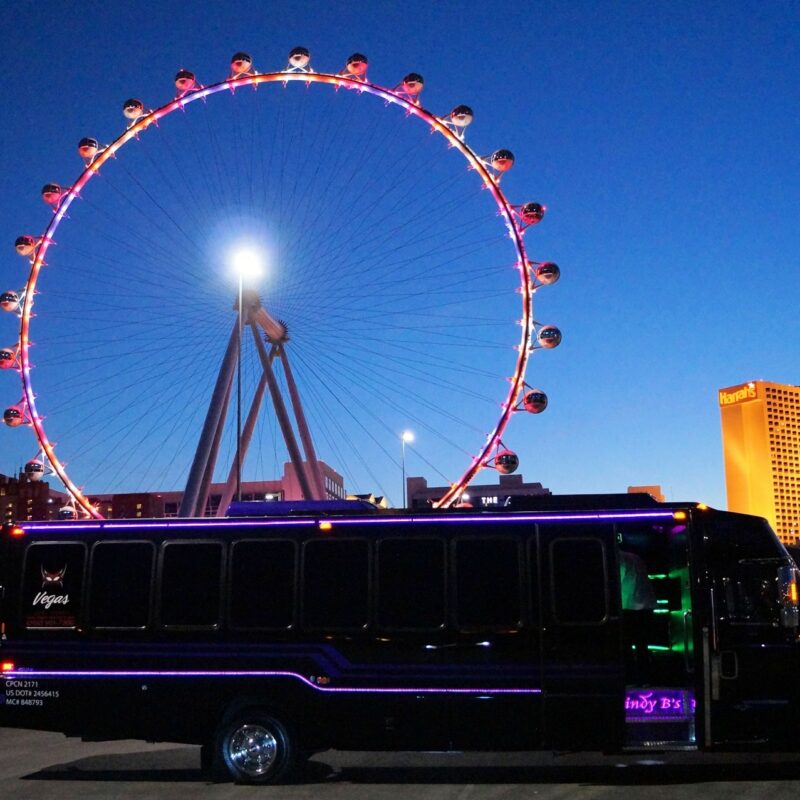 Purple Rain Party Bus Photo Tour