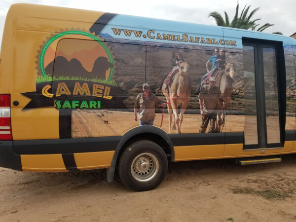 CAMEL SAFARI WEDDING