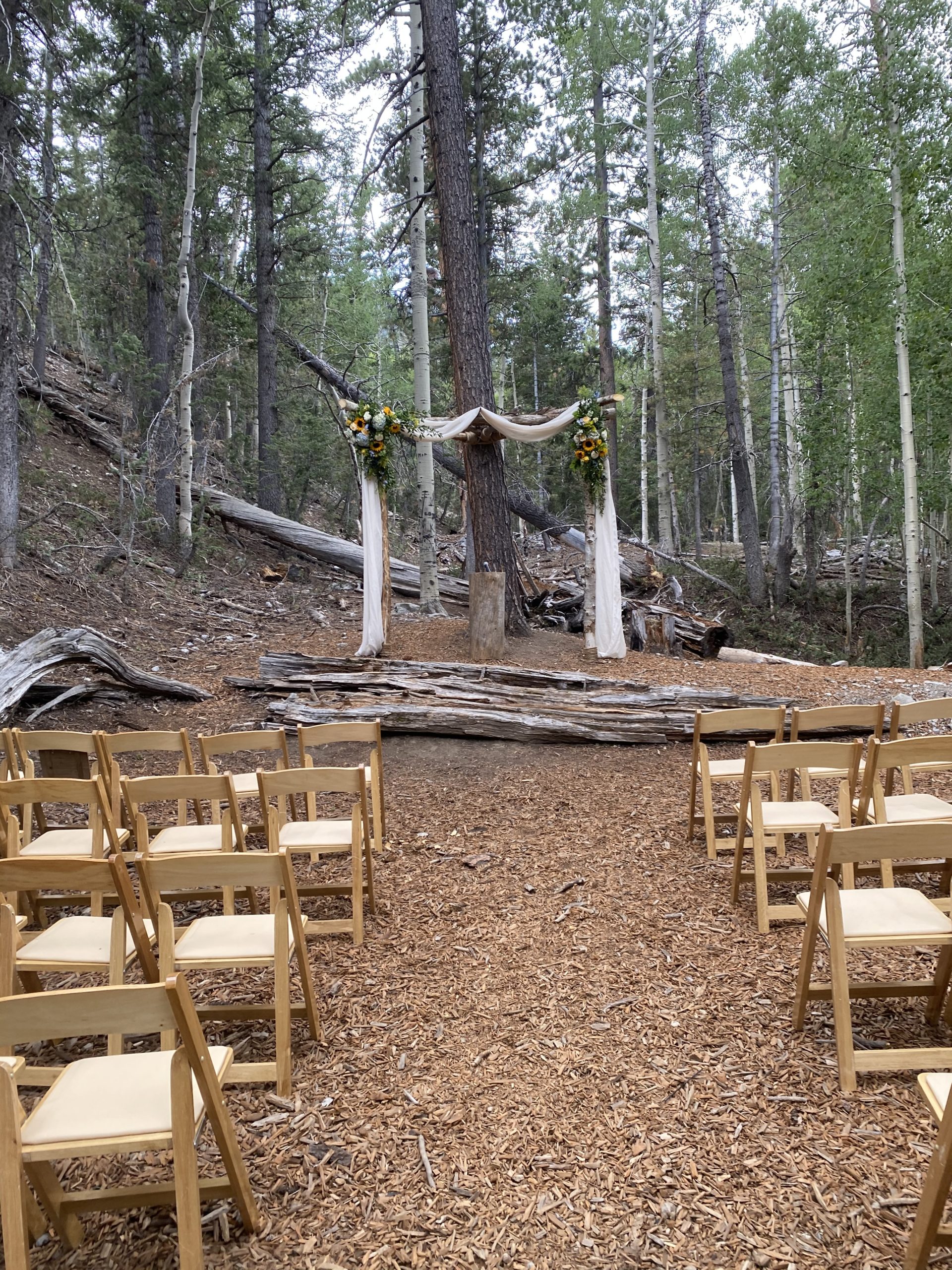 Mt. Charleston Lee Canyon - LV Wedding Connection