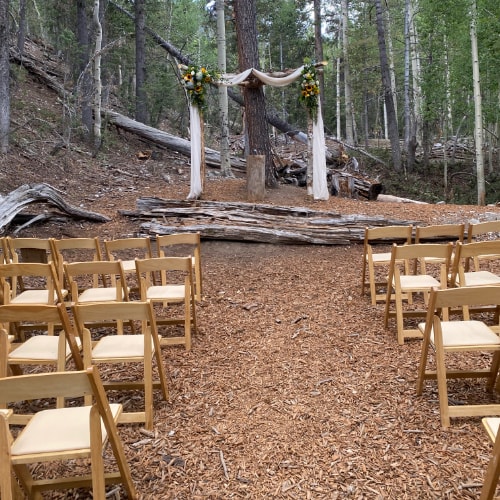 Mt. Charleston Lee Canyon - LV Wedding Connection