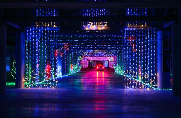 Love and Lights