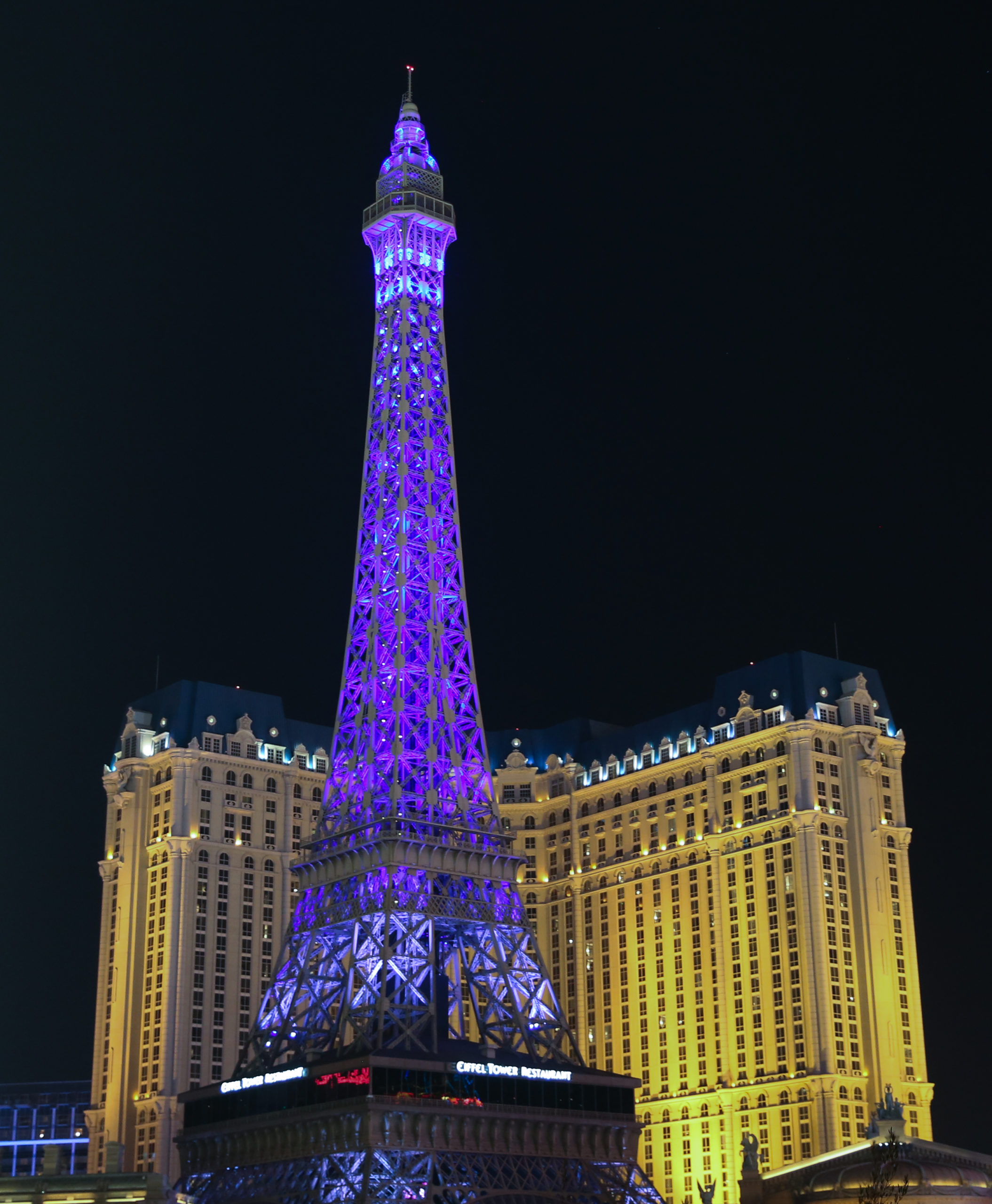 Eifel Tower Proposal - LV Wedding Connection