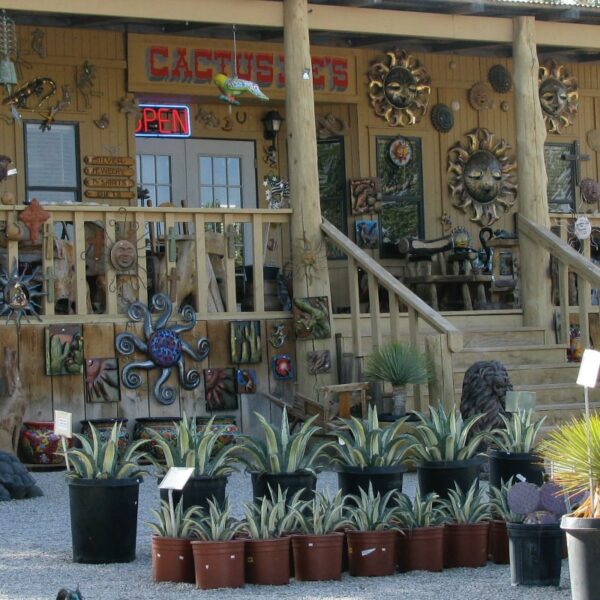 Cactus Joe’s