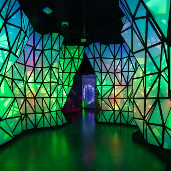 Meow Wolf’s <span class="font-italic">Omega Mart</span> Wedding