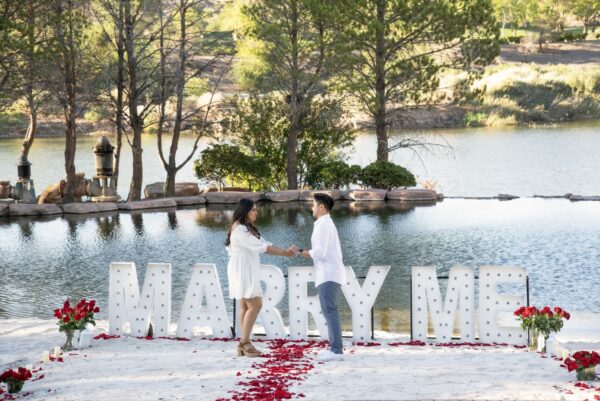 Beach Proposal