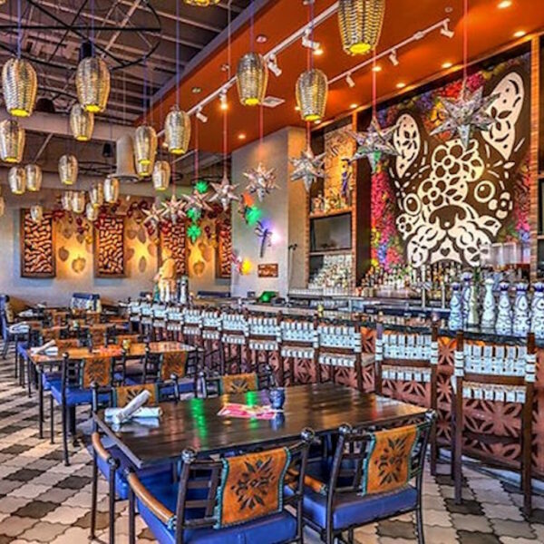 Hola Modern Mexican Cocina + Cantina