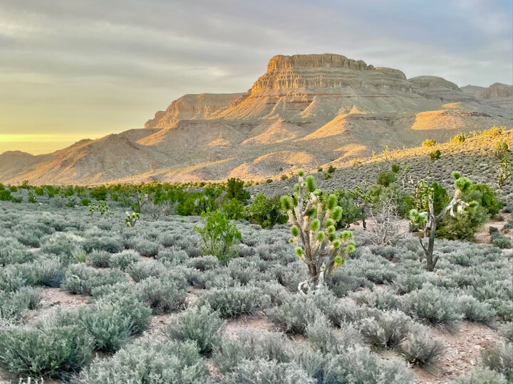 Grand Canyon Helicopter and Western Ranch Adventure Landing Tour #1