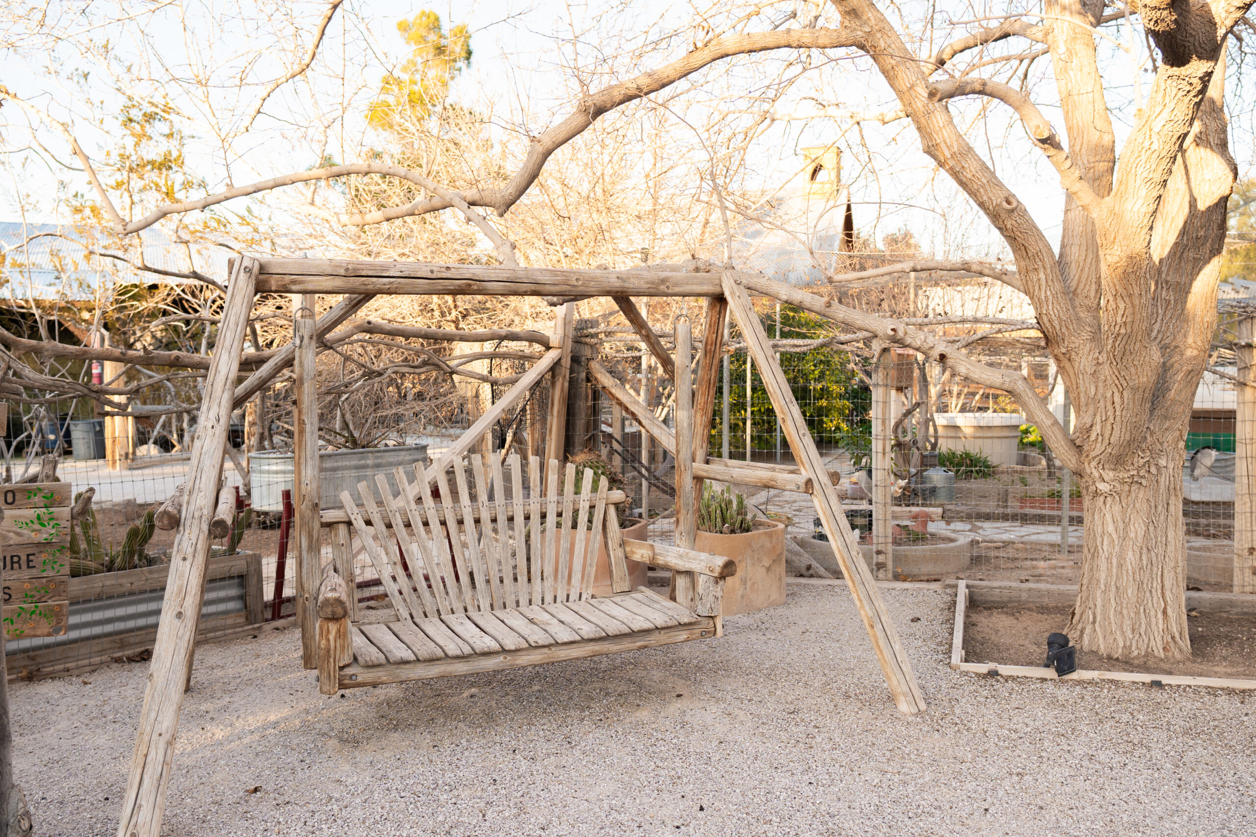 THE LAS VEGAS FARM - Image 2